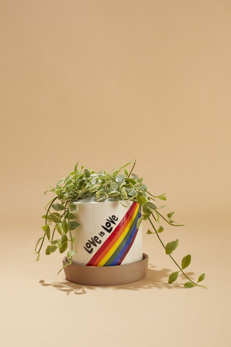 Love is Love Pot