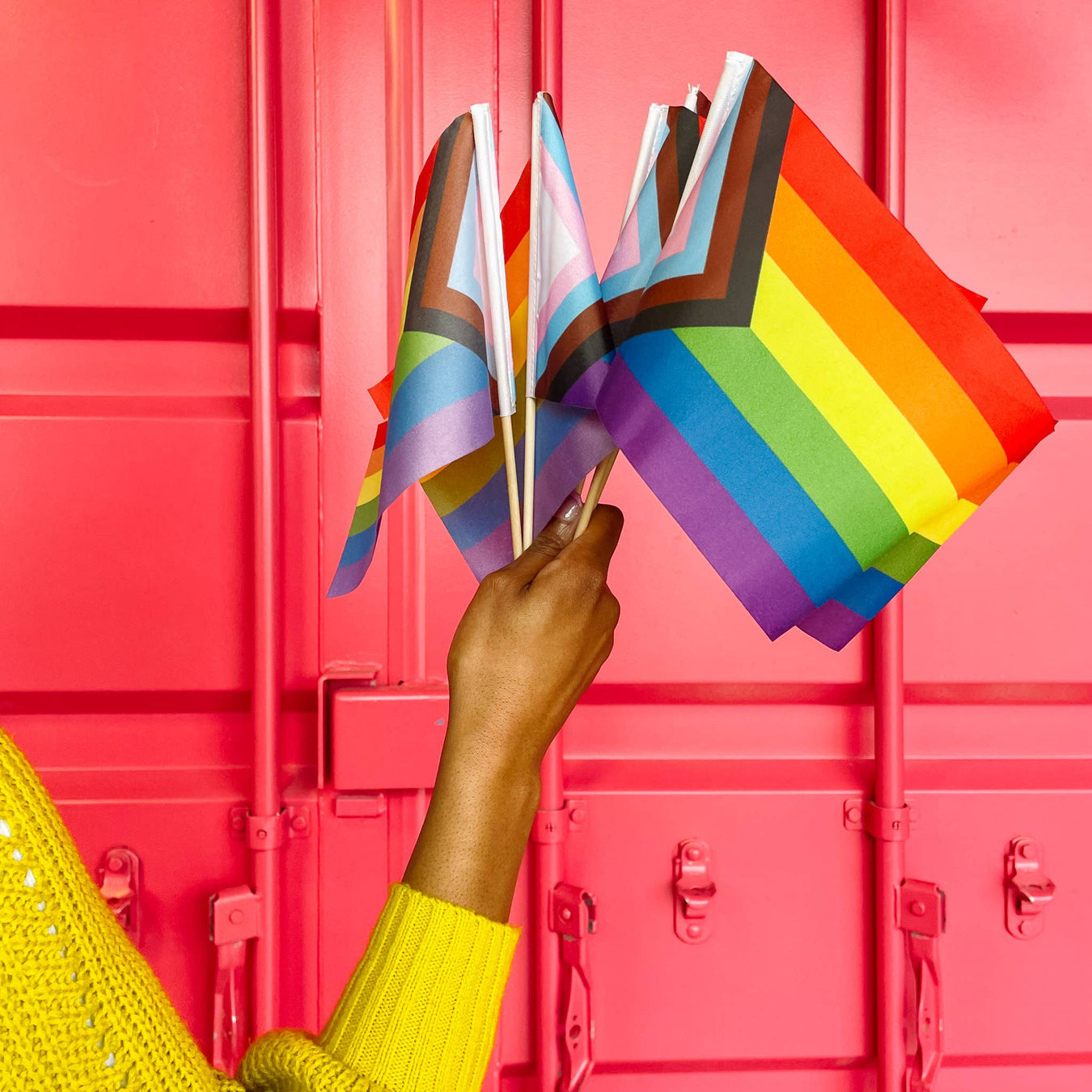 Pride & LGBTQIA+ Party and Parade Supplies